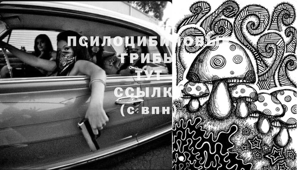 ешки Вязники